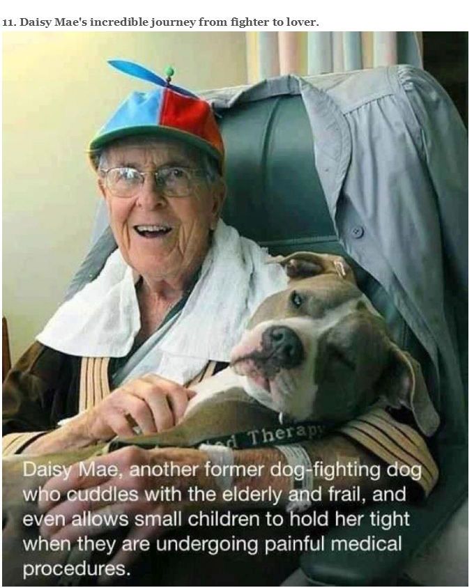 You Will Never Look At Animals The Same Way Again (39 pics)