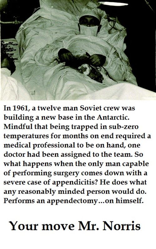If You Thought You Were Manly, Think Again (17 pics)