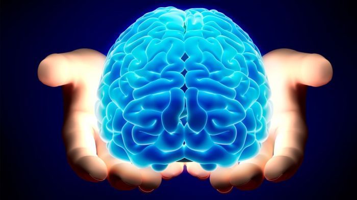 The Human Brain Is More Powerful Than You Know (8 pics)