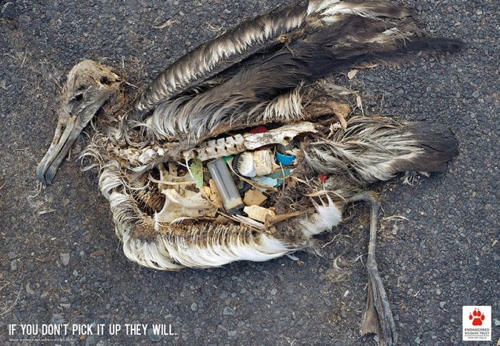 Socially Conscious Ads That Will Change Your World (13 pics)