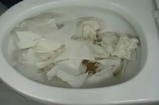 Korean Way To Unclog The Toilet