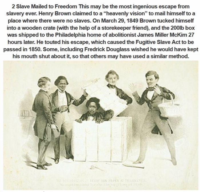 The 10 Weirdest Things Ever Sent In The Mail (11 pics)