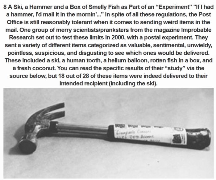 The 10 Weirdest Things Ever Sent In The Mail (11 pics)