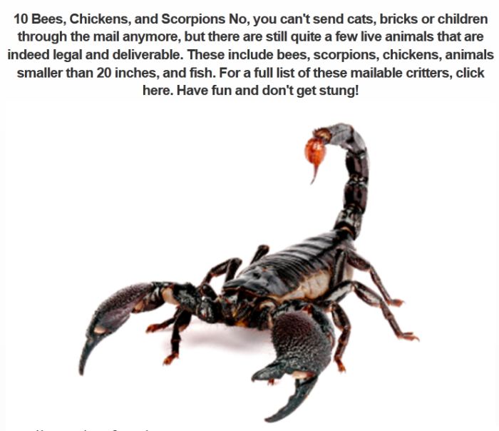The 10 Weirdest Things Ever Sent In The Mail (11 pics)