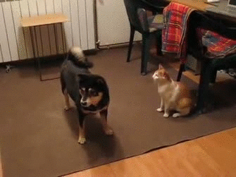 Acid Gifdump, June 05, 2014 (25 gifs)