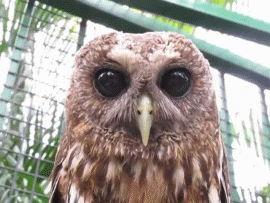Acid Gifdump, June 05, 2014 (25 gifs)