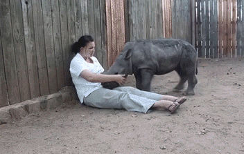 Acid Gifdump, June 05, 2014 (25 gifs)