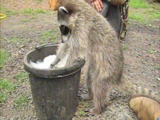 Acid Gifdump, June 05, 2014 (25 gifs)