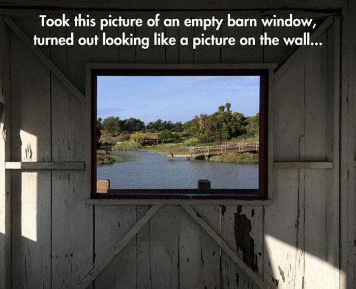 Everything In This Post Is Impressive (49 pics)