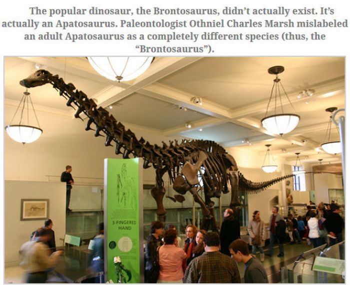 Feed Your Brain With These Awesome Facts (35 pics)