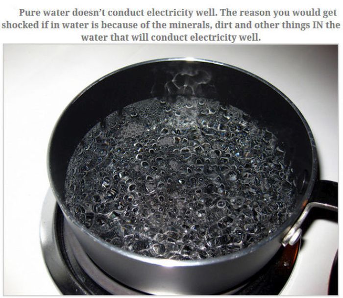 Feed Your Brain With These Awesome Facts (35 pics)