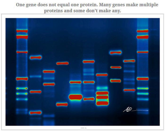 Feed Your Brain With These Awesome Facts (35 pics)