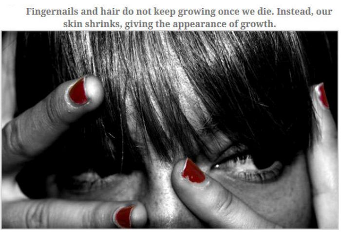 Feed Your Brain With These Awesome Facts (35 pics)