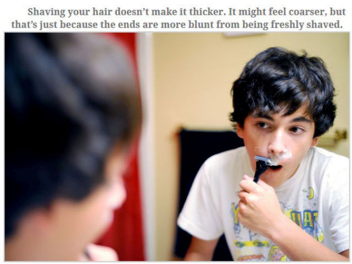 Feed Your Brain With These Awesome Facts (35 pics)