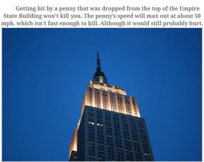 Feed Your Brain With These Awesome Facts (35 pics)