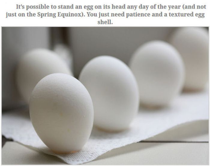 Feed Your Brain With These Awesome Facts (35 pics)