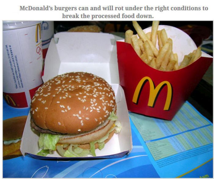 Feed Your Brain With These Awesome Facts (35 pics)