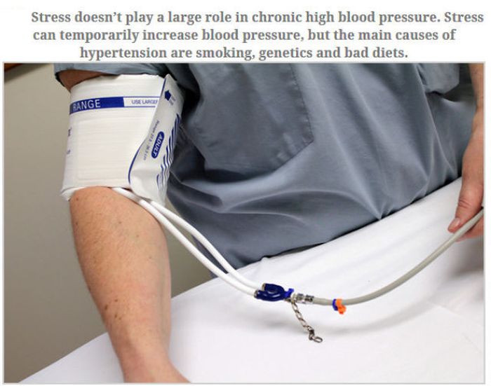 Feed Your Brain With These Awesome Facts (35 pics)