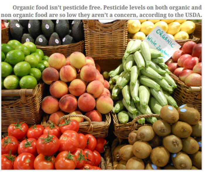 Feed Your Brain With These Awesome Facts (35 pics)