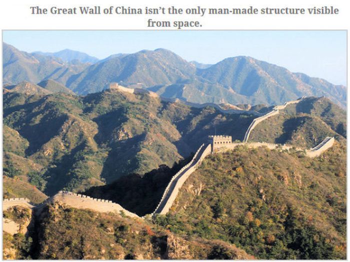 Feed Your Brain With These Awesome Facts (35 pics)
