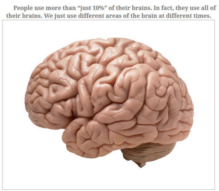 Feed Your Brain With These Awesome Facts (35 pics)