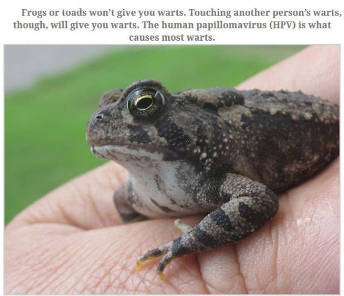 Feed Your Brain With These Awesome Facts (35 pics)