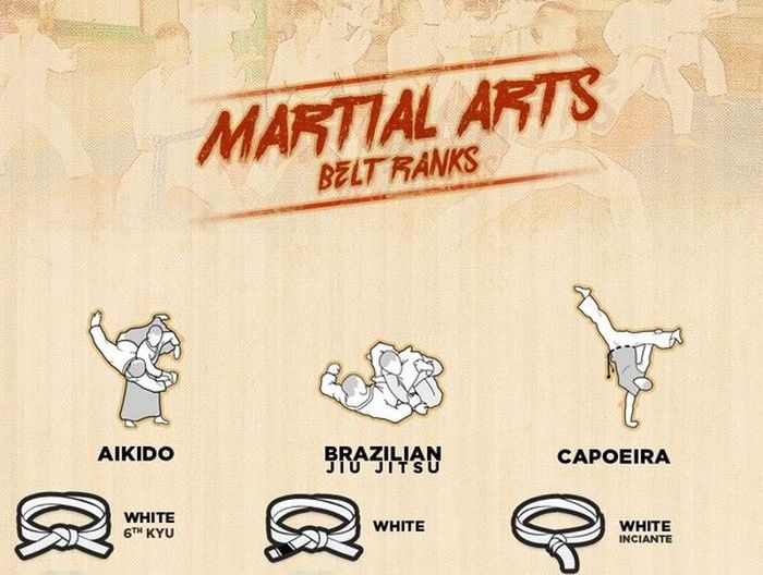 Martial Arts Belts And Colors By The Style (infographic)