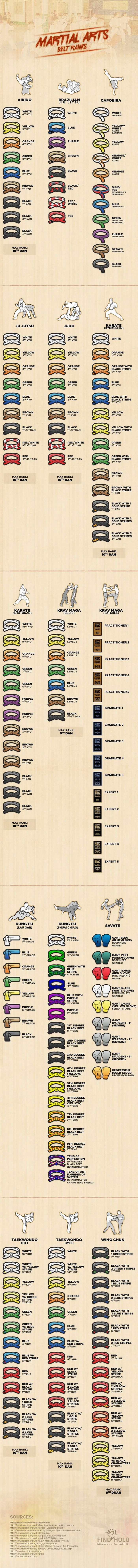 Martial Arts Belts And Colors By The Style (infographic)
