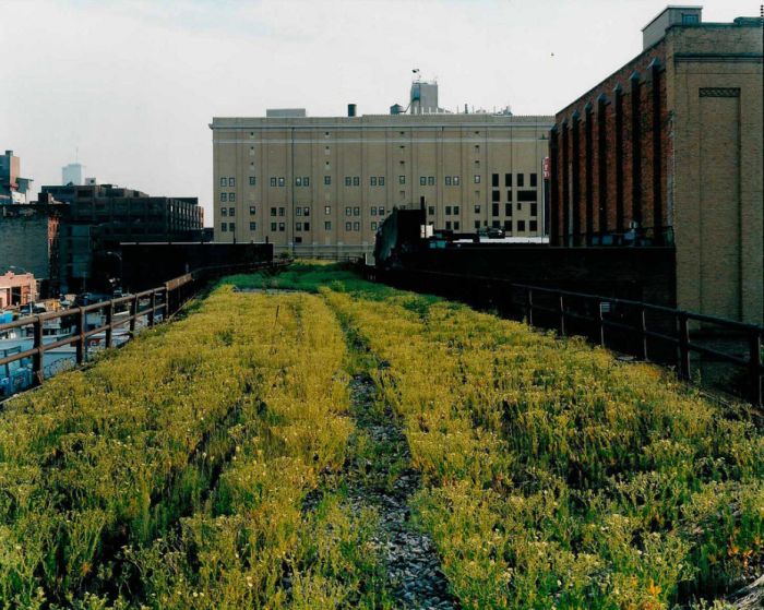 Photos Of The High Line Abandoned Railway (55 pics)