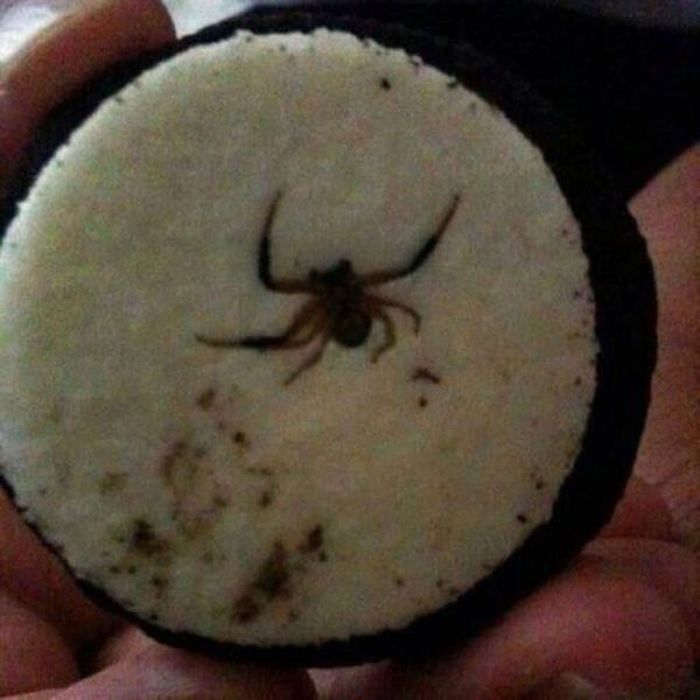 There Is So Much Nope In Here You Have No Idea (54 pics)