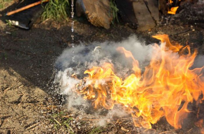 Epic Campfire Cooking Fail (16 pics)
