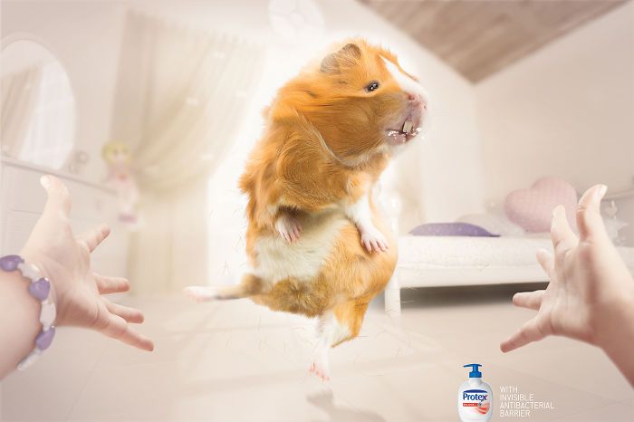 These Animals Take These Print Ads From Boring To Epic (55 pics)