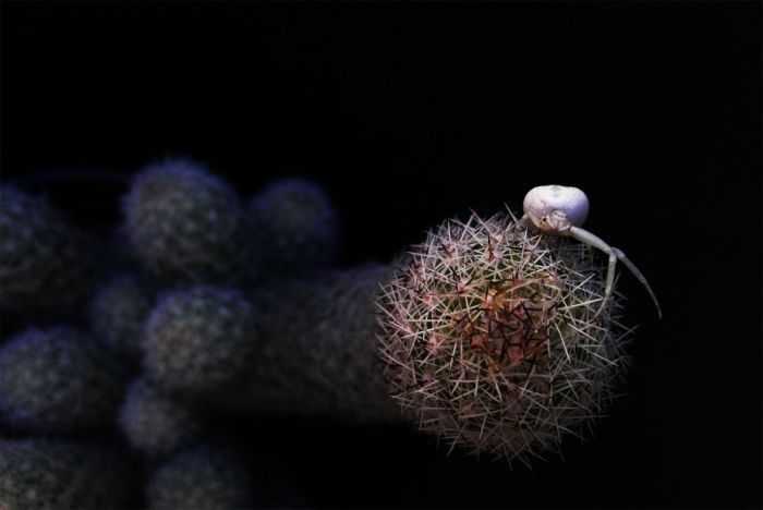 You Won't Believe These Photos Aren't Photoshopped (25 pics)
