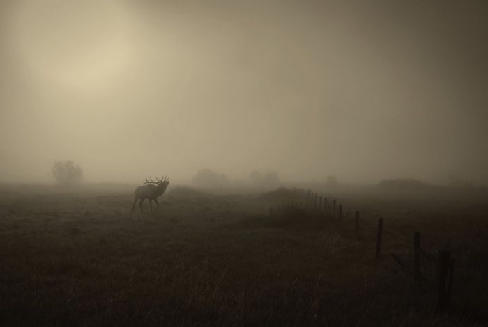 You Won't Believe These Photos Aren't Photoshopped (25 pics)