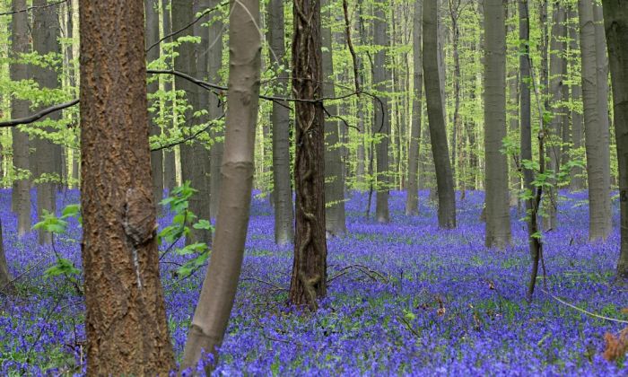 You Won't Believe These Photos Aren't Photoshopped (25 pics)