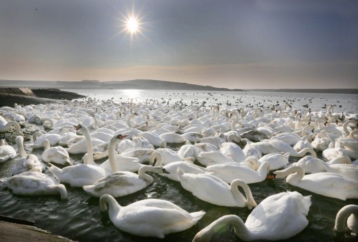 You Won't Believe These Photos Aren't Photoshopped (25 pics)