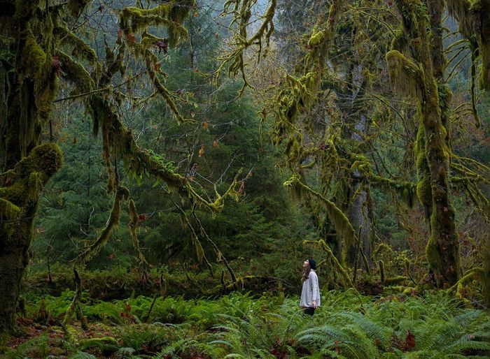 You Won't Believe These Photos Aren't Photoshopped (25 pics)