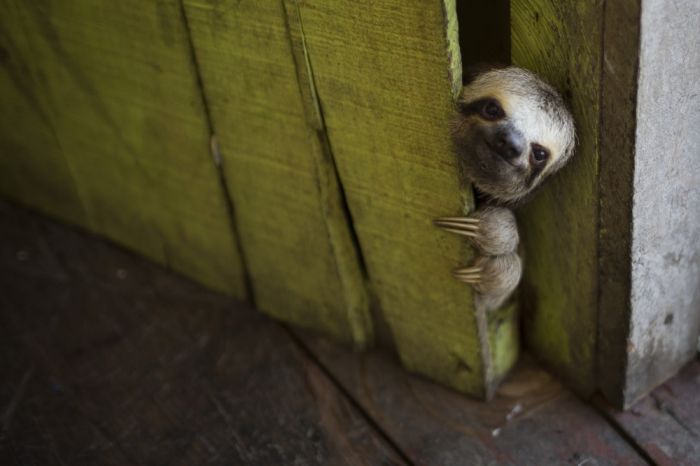 You Won't Believe These Photos Aren't Photoshopped (25 pics)