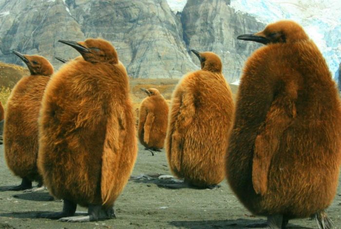 You Won't Believe These Photos Aren't Photoshopped (25 pics)