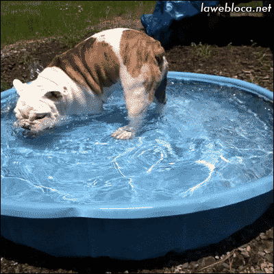 Acid Gifdump, June 09, 2014 (25 gifs)