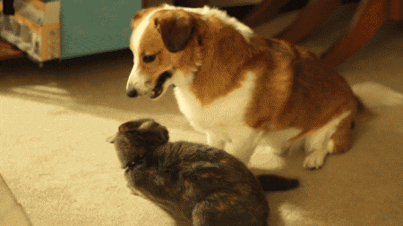 Acid Gifdump, June 09, 2014 (25 gifs)