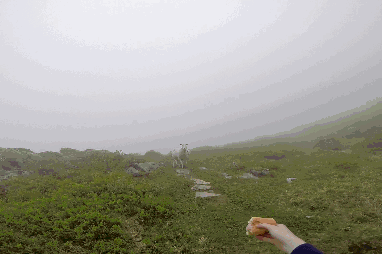 Acid Gifdump, June 09, 2014 (25 gifs)
