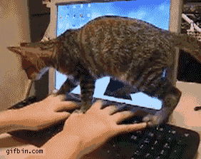 Acid Gifdump, June 09, 2014 (25 gifs)