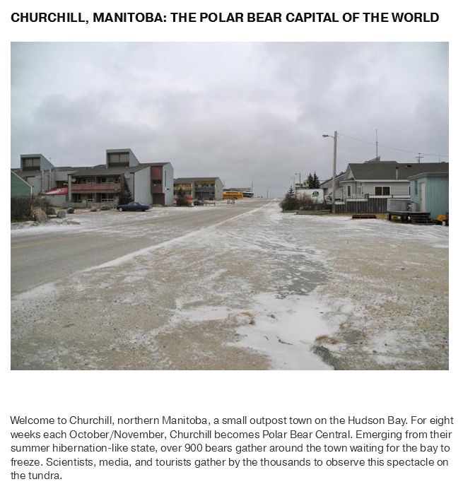 What Life Is Like In The Polar Bear Capital Of The World (17 pics)
