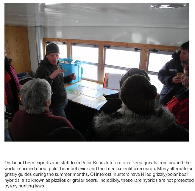 What Life Is Like In The Polar Bear Capital Of The World (17 pics)