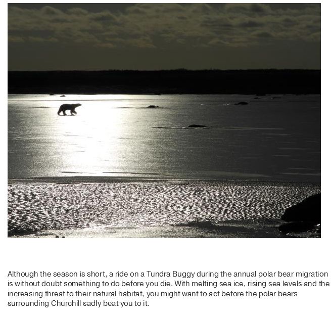 What Life Is Like In The Polar Bear Capital Of The World (17 pics)