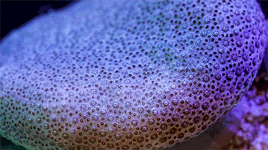 There's Real Life Magic On Earth, Just Look Around (22 gifs)