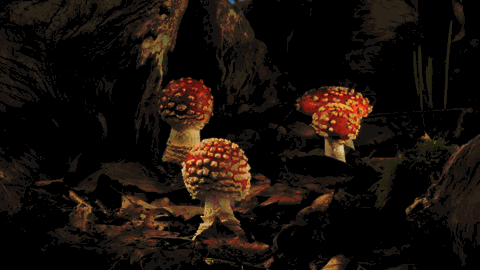 There's Real Life Magic On Earth, Just Look Around (22 gifs)