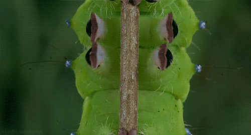There's Real Life Magic On Earth, Just Look Around (22 gifs)