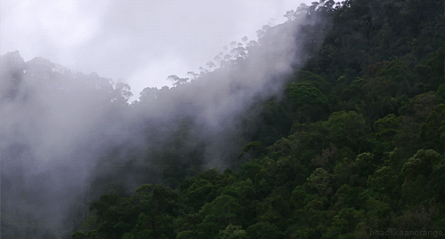 There's Real Life Magic On Earth, Just Look Around (22 gifs)